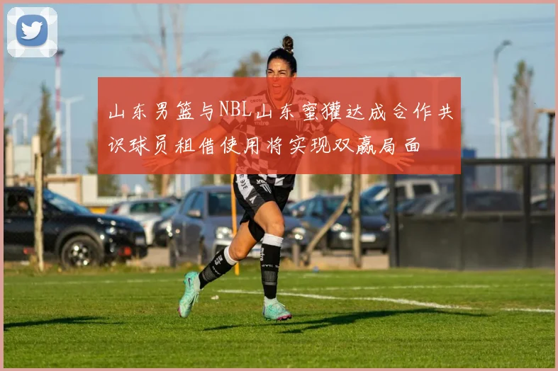 山东男篮与NBL山东蜜獾达成合作共识球员租借使用将实现双赢局面